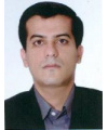 علی عالی انوری